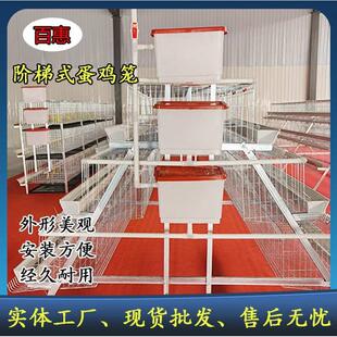 养殖场用三层四门白槽蛋鸡笼设备热镀锌多层阶梯式笼养鸡设备