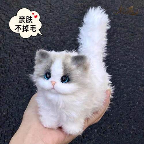 可爱扭扭棒小猫手工diy布偶猫玩偶材料包生日毕业礼物送女生礼品