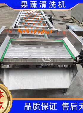 厂家生产鱼腥草清洗机气泡式桔梗天麻清洗设备商用折耳根清洗机