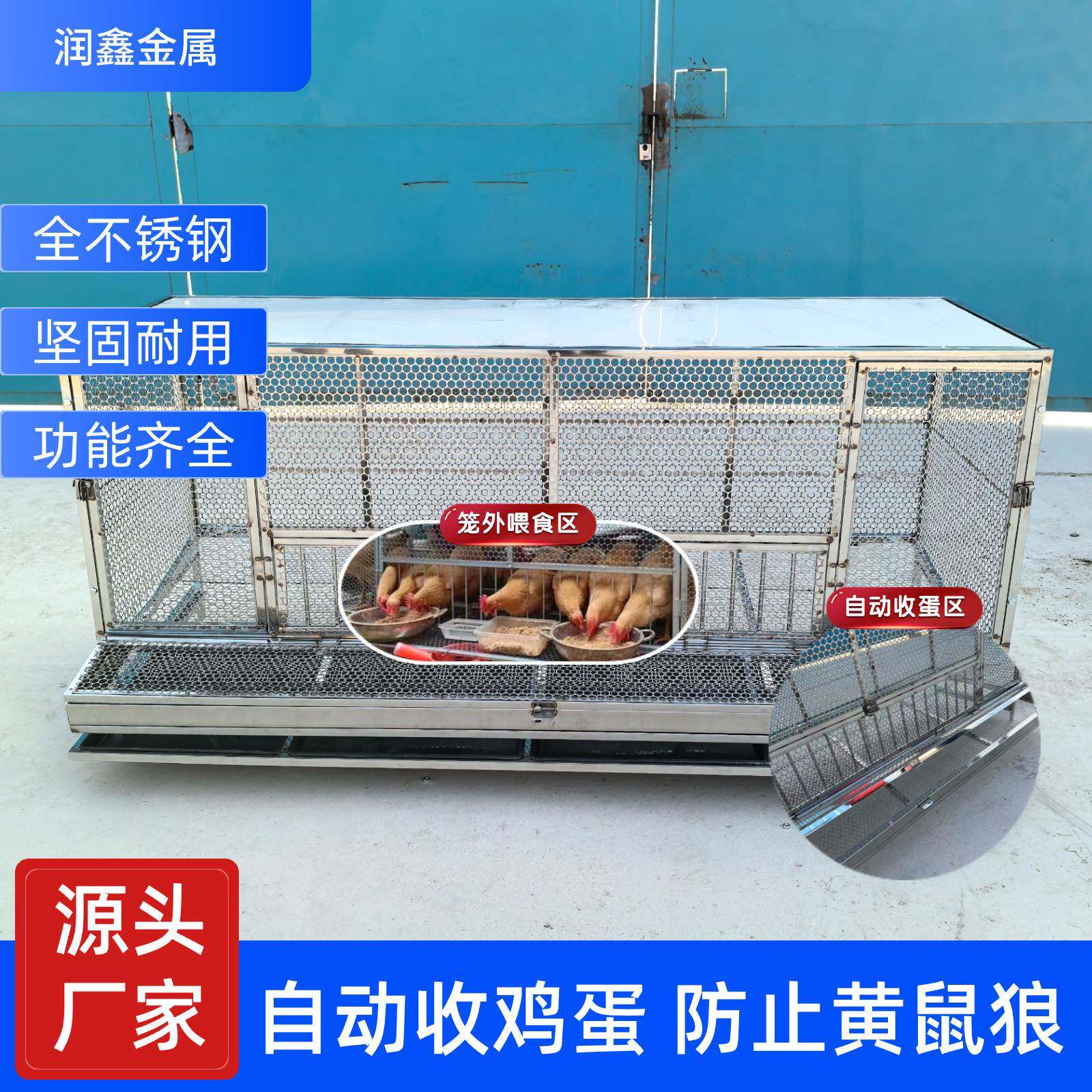 鸡笼不锈钢自动收蛋鸡笼特大号家用防鸡啄蛋笼户外鸡笼子防黄鼠狼