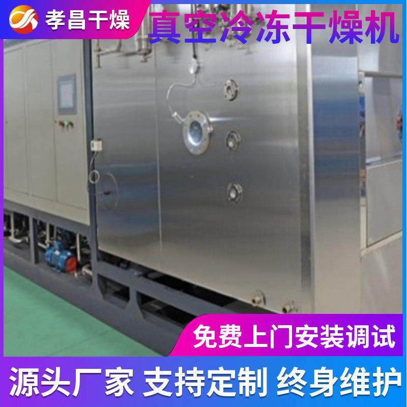 芒冷果烘干机菠萝燥干燥玉菇甜瓜机烘干FD设备真空冻干机