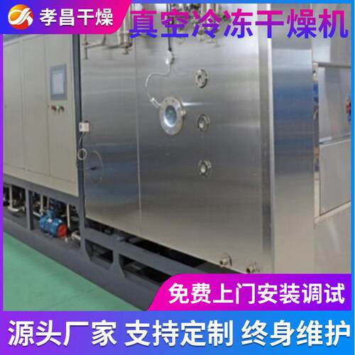 烘机菠萝干燥芒机玉菇甜瓜烘果干设备真空冷冻FD干干燥机