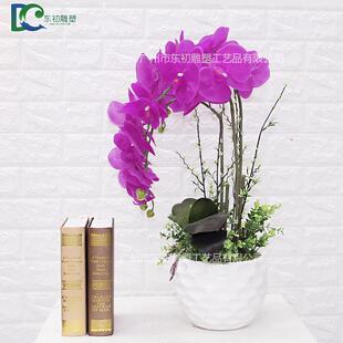 胶片蝴蝶兰仿真花 新款手感兰花 花卉盆栽植物 家居客厅装饰花艺