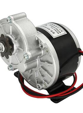 优耐跨境全规格有刷减速电机带脚12V24v36v250WMY1016Z2减速电机1