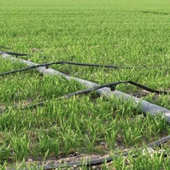 滴灌用盘管滴灌带 贴片滴头出水均匀 16mm内镶圆柱滴灌管