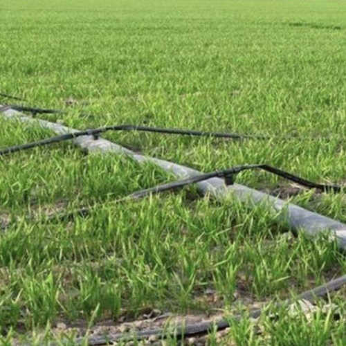 滴灌用盘管滴灌带 16mm内镶圆柱滴灌管 贴片滴头出水均匀