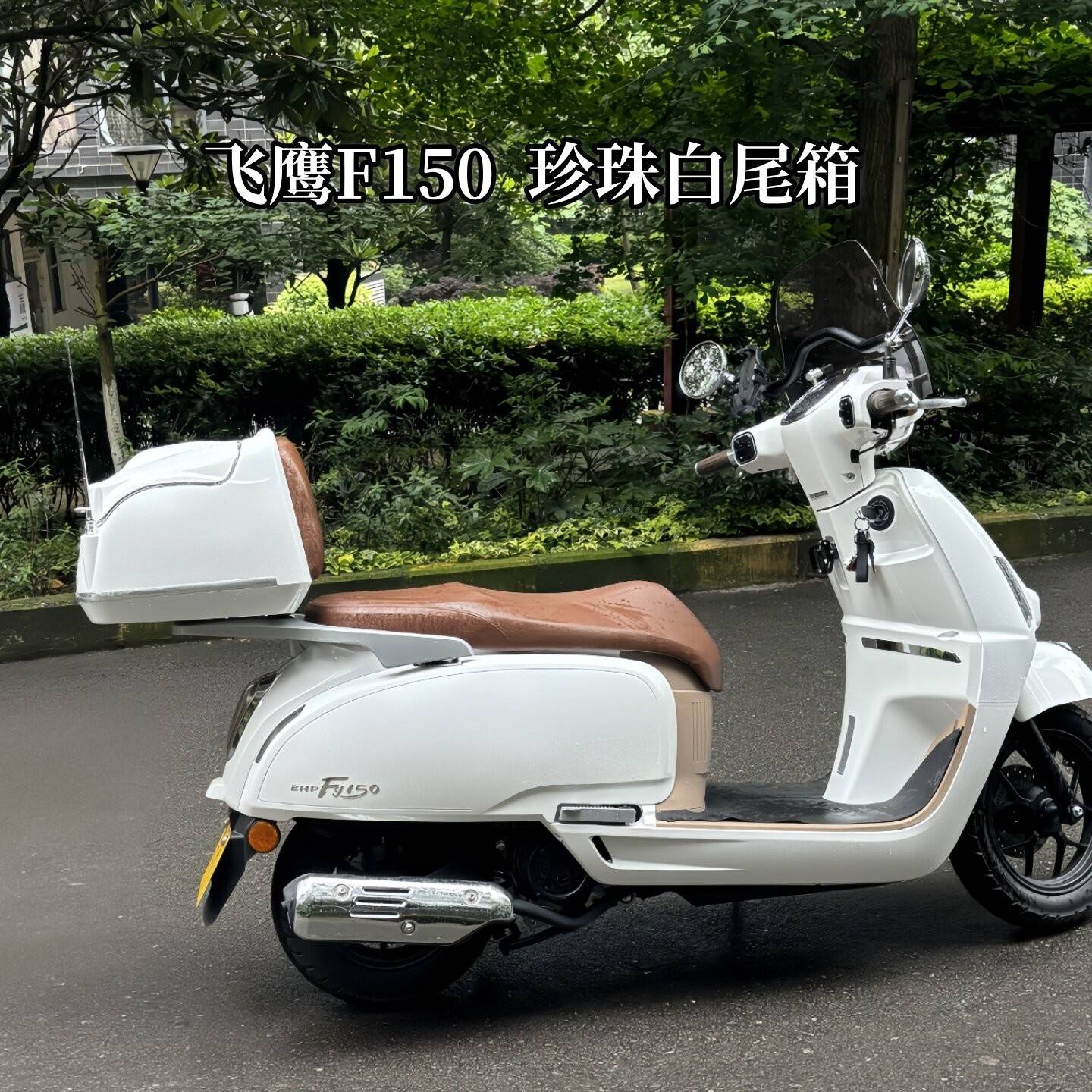 飞鹰F150 机车尾箱 滑板车复古后备箱 大号收纳箱 电动车外送箱图片