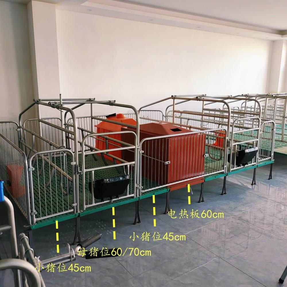 国标热镀锌2.5母猪产床双体产保育一体母猪分娩床产房两用落地式