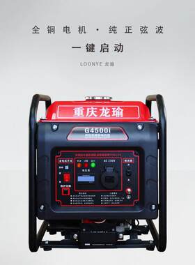 龙瑜家用小型汽油发电机220V交流便携式家用商用大功率工地用