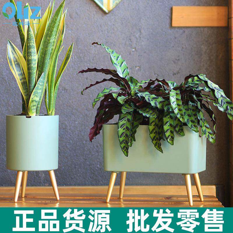 现货北欧智能自动吸水绿萝套装电子花盆缺水报警客厅落地花架租摆