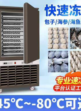 商用速冻柜低温急速冷冻柜海参饺子水饺速冻机插盘式大容量速冻机