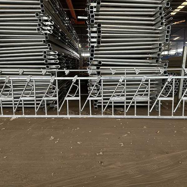 单开夹牛夹颈脖枷颈牛护栏牛双开加厚牛牛夹牛热镀锌场颈新型