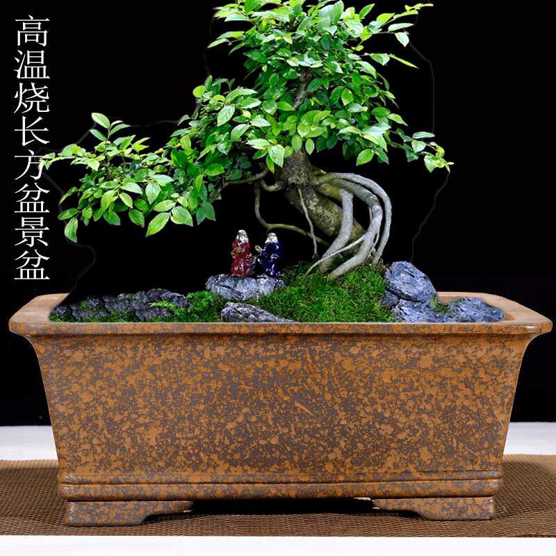 紫砂花盆长方形马槽盆室内花卉植物盆栽文竹梅花菖蒲盆景盆促销