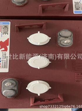 Trojan邱健蓄电池 T-145洗地机6V260AH升降机观光车堆高车