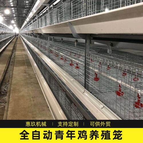 供应立体式全自动青年鸡笼热镀锌养殖笼具全自动鸡笼养殖设备厂