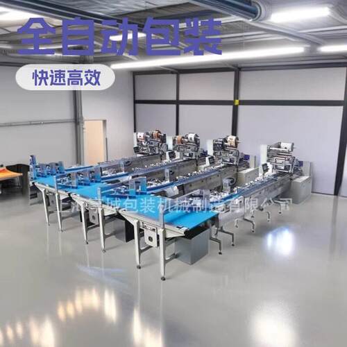 售后无忧包装抹茶红豆冰皮饼枕式食品包装机杏仁月饼麻薯包装机