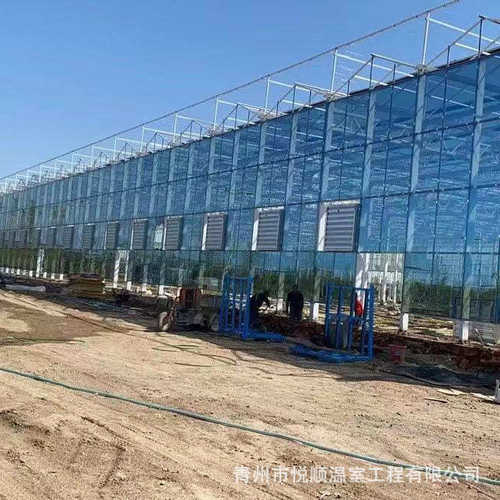 现代智能玻璃温室无土栽培玻璃温室智能温室大棚生态餐厅观赏大棚