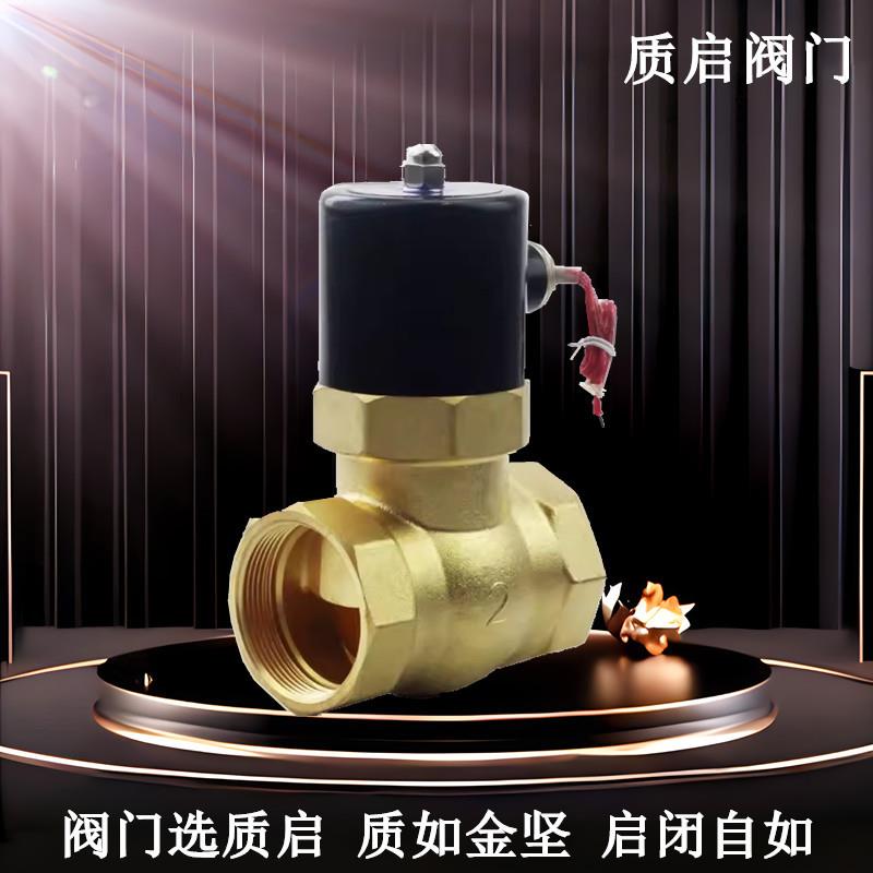 泉州质启丝扣蒸汽阀2L-50黄铜丝扣蒸汽阀门电磁阀2寸电磁阀常闭25