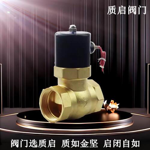 泉州质启丝扣蒸汽阀2L-50黄铜丝扣蒸汽阀门电磁阀2寸电磁阀常闭25