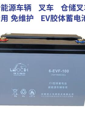 理士新能源车辆洗地车仓储叉车12V100A胶体电池理士电池6-EVF-100