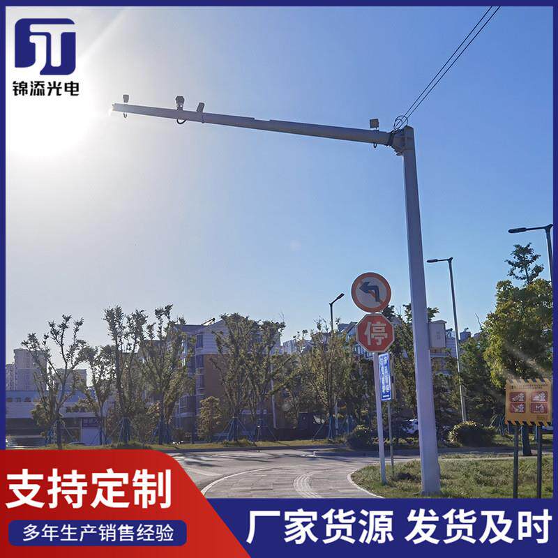 小区公园监控杆2米2.5米3米3.5米4米组合监控立杆 交通监控杆