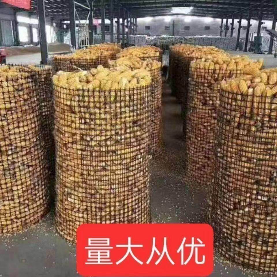 加厚网塑料网养鸡鸭围栏鱼塘园林防护网拦鸡网玉米网专用铁架子