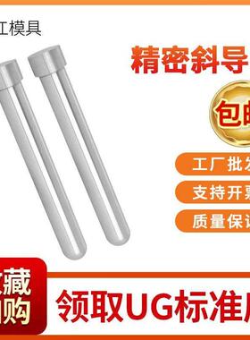 塑胶模具精密圆头斜导柱加硬滑块削边方扁斜导柱SF 33