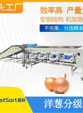 洋葱分级机智能水果分选设备筛选机分拣果蔬源头工厂效率产量大