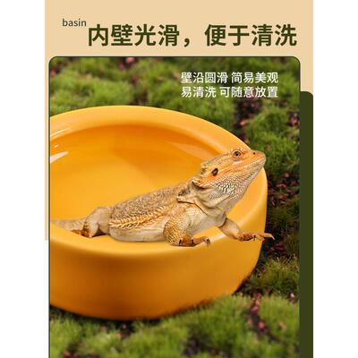 爬宠水盆防逃逸食盆角蛙造景盆寄居蟹泡澡盆陶瓷盆守宫