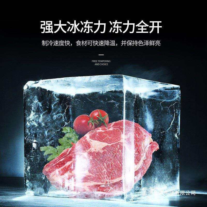 冻货无霜冷柜一级节能小冰柜家用全冷冻小型迷你省电保鲜冷藏冷冻