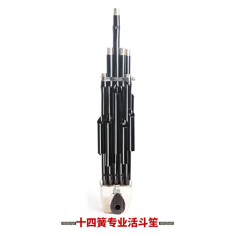 正品新艺17具簧4簧扩音笙器乐器大全圆笙方笙修笙工竽乐笙包初学1