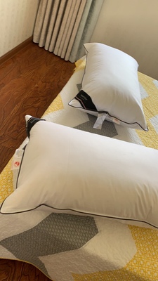 SIDANDA枕头怎么样，质量性能优缺点