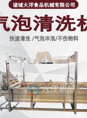 全自动果蔬清洗机气泡式番石榴洗泥设备304不锈钢 山豆清洗机器