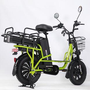 16' electric bicycle/takeout Electric vehicle cross-country