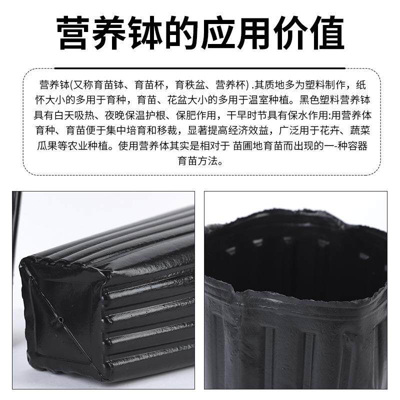 加厂营养钵02家柑橘橙黑色塑料营脐养钵加高一次性花卉育苗厚杯育