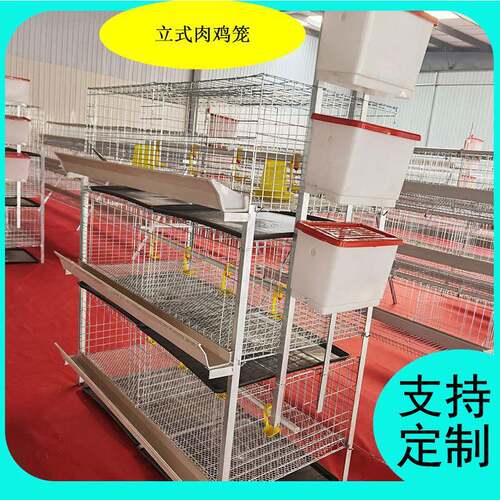 立式肉鸡笼小鸡笼鸡舍肉鸡笼