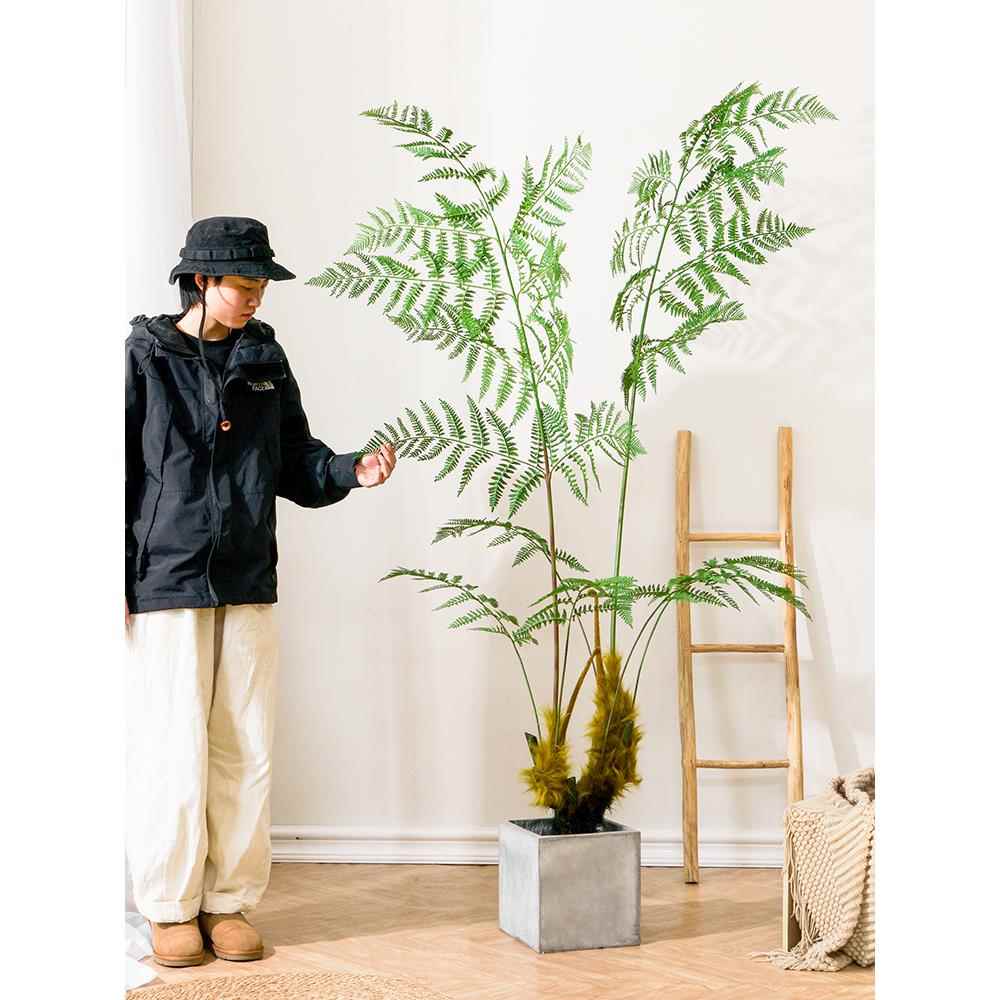 仿生绿植客厅仿真假树金丝猴阙猴头蕨类植物室内盆栽装饰造景摆件