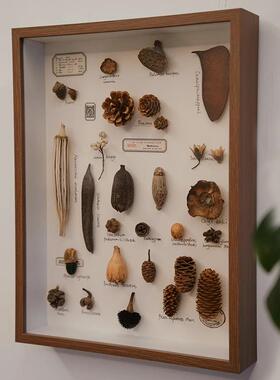 DIY手工立体中空标本框 贝壳植物收藏展示框 人造板手工相框适用