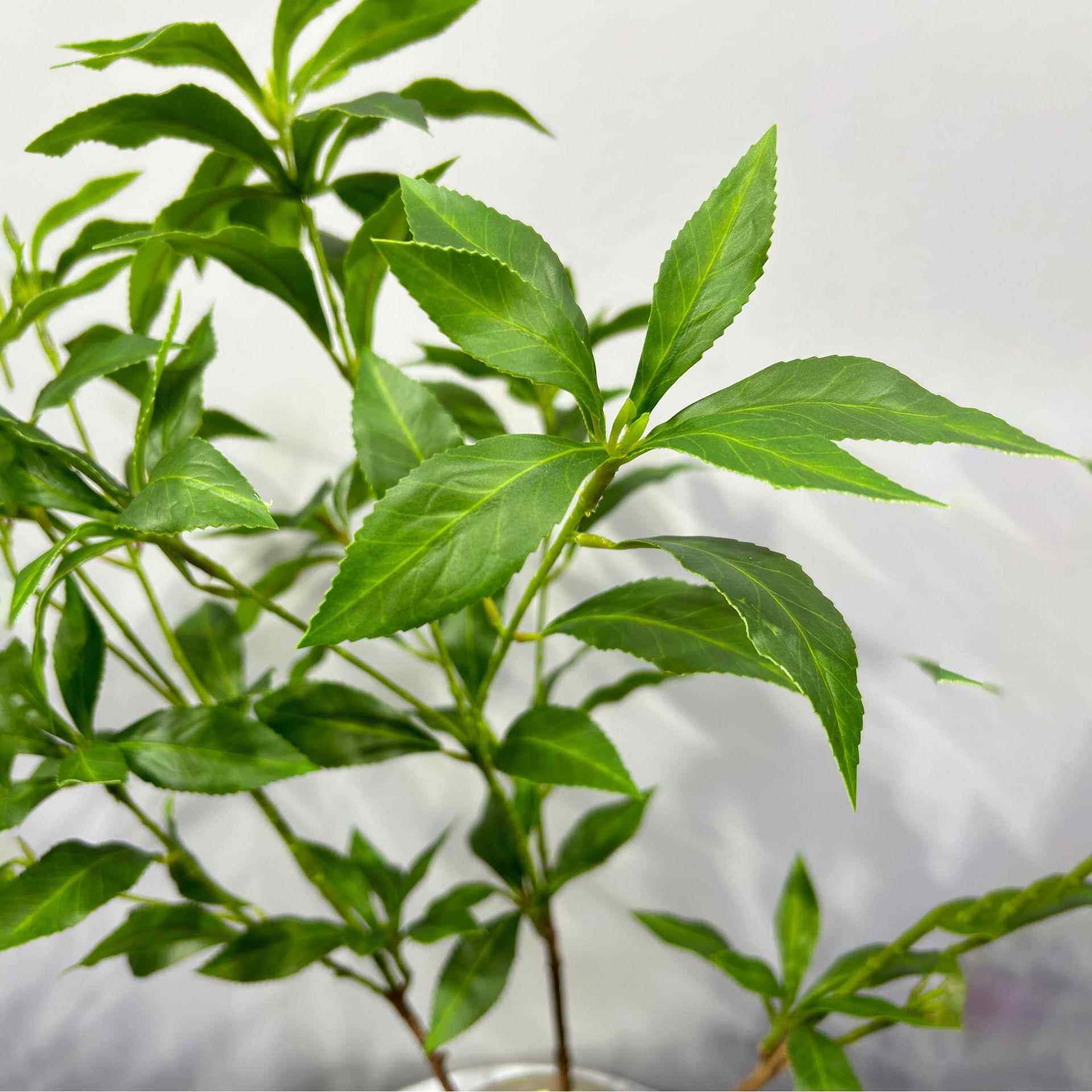 仿真植马醉饰木室内客厅摆绿仿真绿植落件假枝叶绿植地装仿真植物