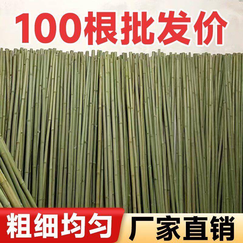 竹竿菜园搭架竹杆条3米豆角黄瓜架子小竹子竹篱笆栅栏围栏架杆棍