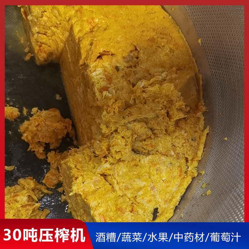 30吨200升压榨收汁机柑橘皮压榨脱水机双桶蔓越莓压榨榨汁机