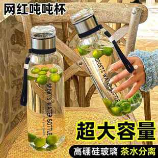 新款夏季网红大容量顿顿玻璃杯便携防摔耐高温水杯茶水分离泡茶杯