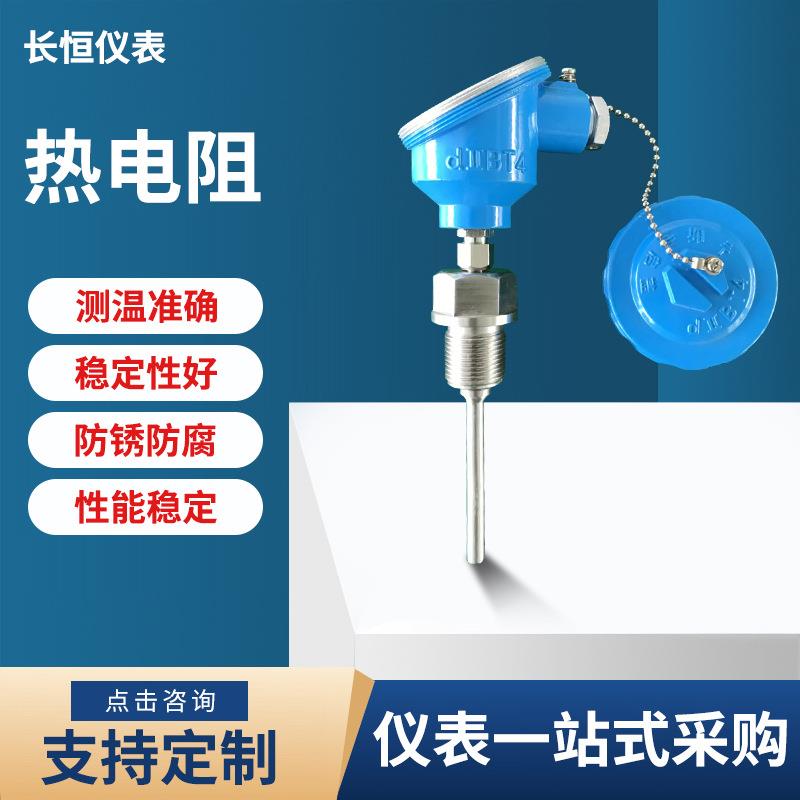 热电阻测温探头一体化PT100温度传感器变送器铠装K型铂热电阻厂家