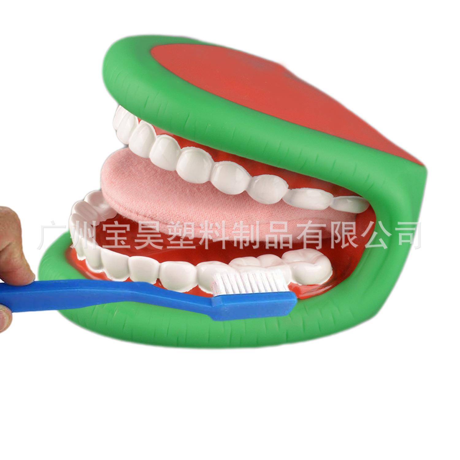 儿童教学语言训练手动口偶牙模模型多种色大嘴巴手偶牙齿模型