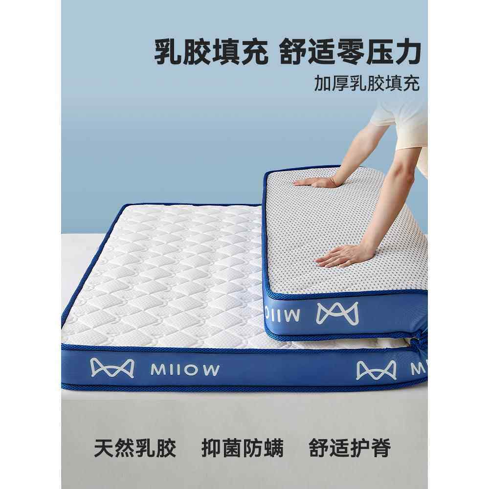 乳胶记忆棉床垫遮盖物软垫家用卧室宿舍学生单人榻榻米海绵褥X20