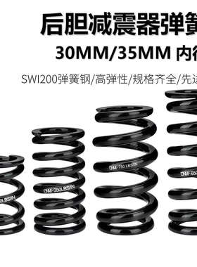 DNM后胆弹簧22AR RCP2S后减震压缩弹簧改装油簧避震器弹簧修补件