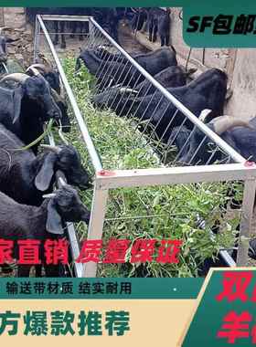 养羊槽子喂羊UVU带架子槽大食羊料槽羊槽胶皮输送槽带双面羊槽食