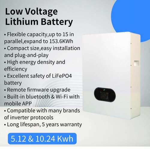 10kwh壁挂式太阳能光伏家庭储能蓄电200ah51.2V直销磷酸铁锂电池