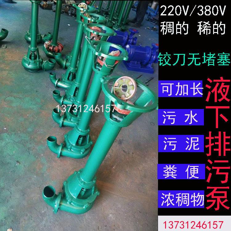 NL立式泥浆泵3/4寸排污抽水抽粪抽泥沙化粪淤泥液下排污泵长杆泵