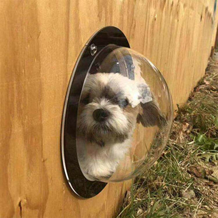 亚马逊透明围栏狗窗猫狗观景窗户亚克力半圆罩宠物门窗透气孔设计